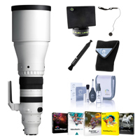 Sigma 300-600mm f/4 DG OS Spor Picture