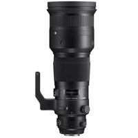 Sigma 500mm f/4 DG OS HSM Spor Picture