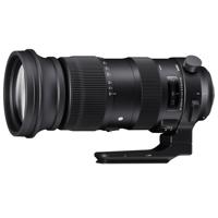 Sigma 60-600mm F4.5-6.3 DG OS  Picture