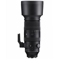 Sigma 60-600mm f/4.5-6.3 DG DN Picture