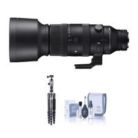 Sigma 60-600mm f/4.5-6.3 DG DN Picture