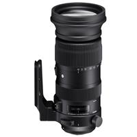 Sigma 60-600mm f/4.5-6.3 DG OS Picture