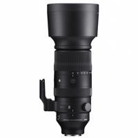 Sigma 60-600mm f/4.5-6.3 DG DN Picture