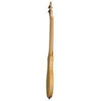 Seagull M4 Mahogany Dulcimer w Picture