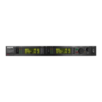 Shure P10T Full-Rack Dual-Chan Picture