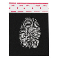 Sirchie 1-1/2x2" Hinge Latent  Picture