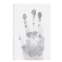 Sirchie 135L 6x9" Palm Lifters Picture