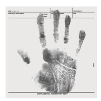 Sirchie Standard Palm Print Re Picture
