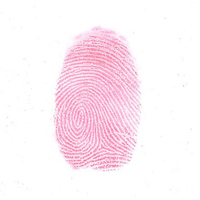 Sirchie Brilliant Red "Hi-Fi"  Picture