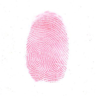 Sirchie Brilliant Red "Hi-Fi"  Picture