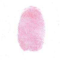 Sirchie Brilliant Red "Hi-Fi"  Picture