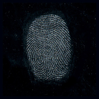 Sirchie Silk Gray "Hi-Fi" Late Picture