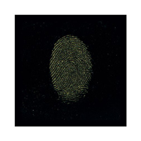 Sirchie Gold Metallic "Hi-Fi"  Picture