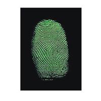 Sirchie 2oz FLUOROMAG Latent P Picture