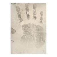 Sirchie GLT101 5.2x7.2" Latent Picture