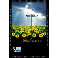 Sound Ideas Immersion 5.1 Surr Picture