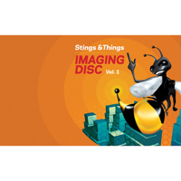 Sound Ideas Stings & Things Pr Picture