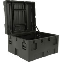 SKB rSeries 3834-23 Industrial Picture