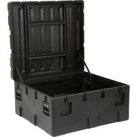 SKB rSeries 4238-20 Industrial Picture