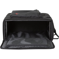 SKB 4U Soft Rack Case Picture