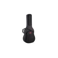 SKB Soft Case with EPS Foam In Picture