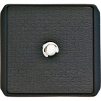 Slik 6256 Quick Release Plate  Picture