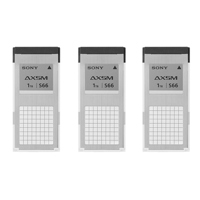 Sony AXS S66 1TB A-Series Memo Picture