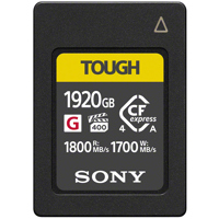 Sony CEA-G Series TOUGH 1920GB Picture