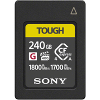 Sony CEA-G Series TOUGH 240GB  Picture
