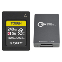 Sony CEA-G Series TOUGH 240GB  Picture