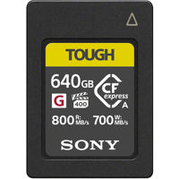 Sony CEA-G Series TOUGH 640GB  Picture