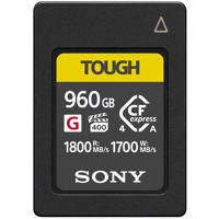 Sony CEA-G Series TOUGH 960GB  Picture