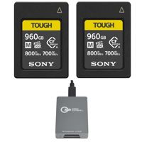 Sony CEA-M Series TOUGH 960GB  Picture