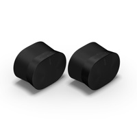 Sonos Era 300 Wireless Bluetoo Picture