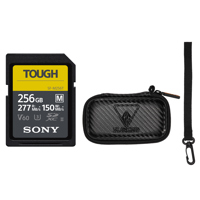 Sony SF-M Series Tough 256GB U Picture