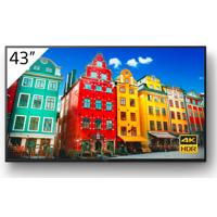 Sony BRAVIA FW-43BZ30J 43" 4K  Picture