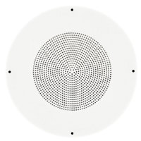 SoundTube Grille for RF41-20 S Picture