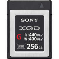 Sony XQD G Series 256GB Memory Picture