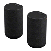 Sony SA-RS5 Wireless Surround  Picture
