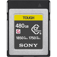 Sony G Series CFexpress Type B Picture