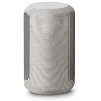 Sony SRS-RA3000 Wi-Fi Enabled  Picture