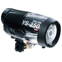 Sea & Sea YS-250PRO Underwater Picture