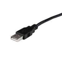 StarTech Male DisplayPort to F Picture