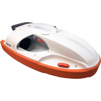 Sublue Swii Electronic Kickboa Picture