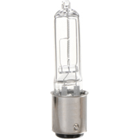 Smith-Victor ESR 100W Modeling Picture