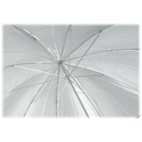 Speedotron 40" Umbrella with R Picture