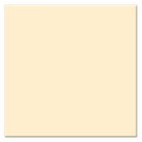 Tiffen 4x4" 1 Coral Solid Color Filter