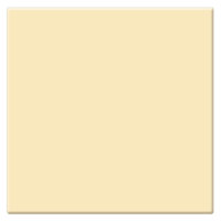 Tiffen 4x4" Gold Solid Color Filter, Density 1