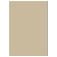 Tiffen 4x5.65" 81D Light Balan Picture