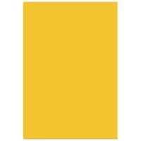 Tiffen 4x5.65" 85C Color Conve Picture